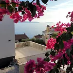 Katarina Trogir